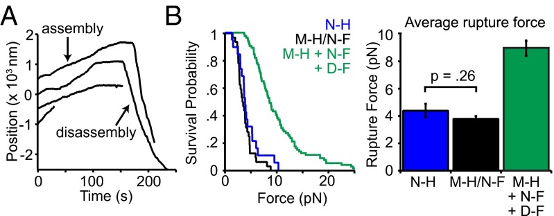 Fig. 4.