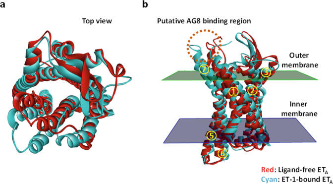 Fig. 6