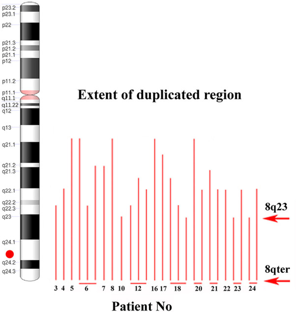 Figure 3