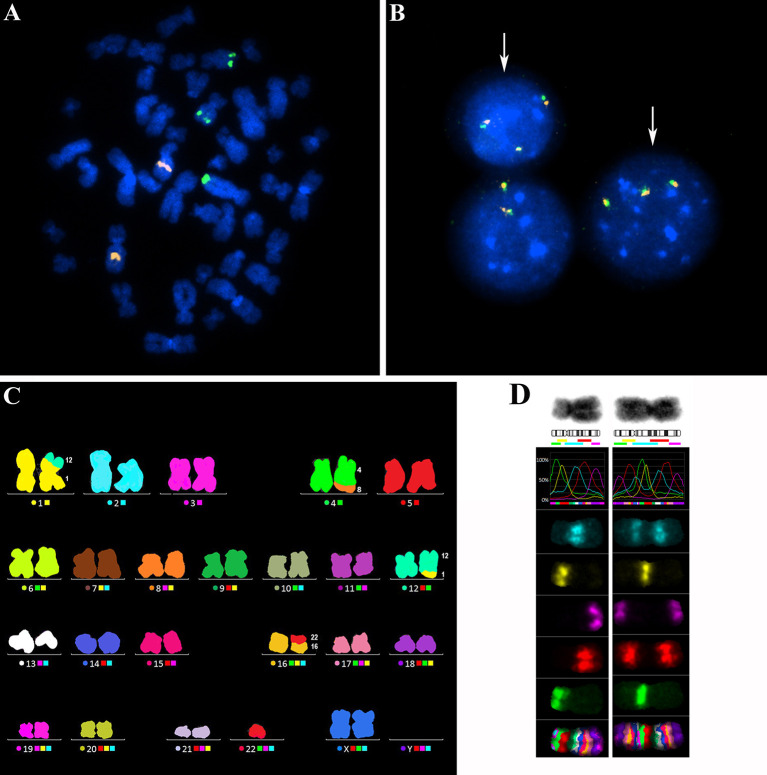 Figure 2