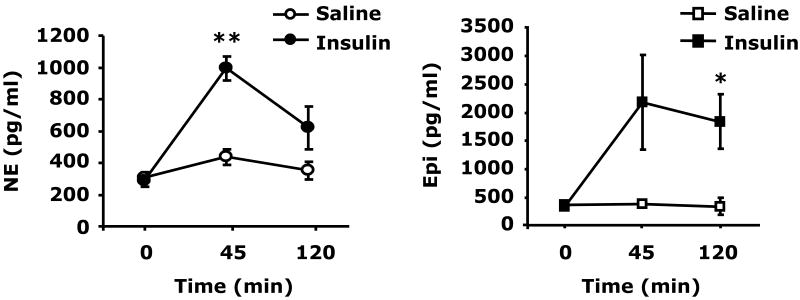 Fig.2