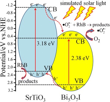 Fig. 9