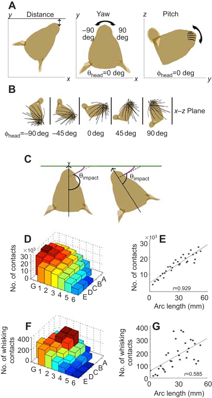 Fig. 2.