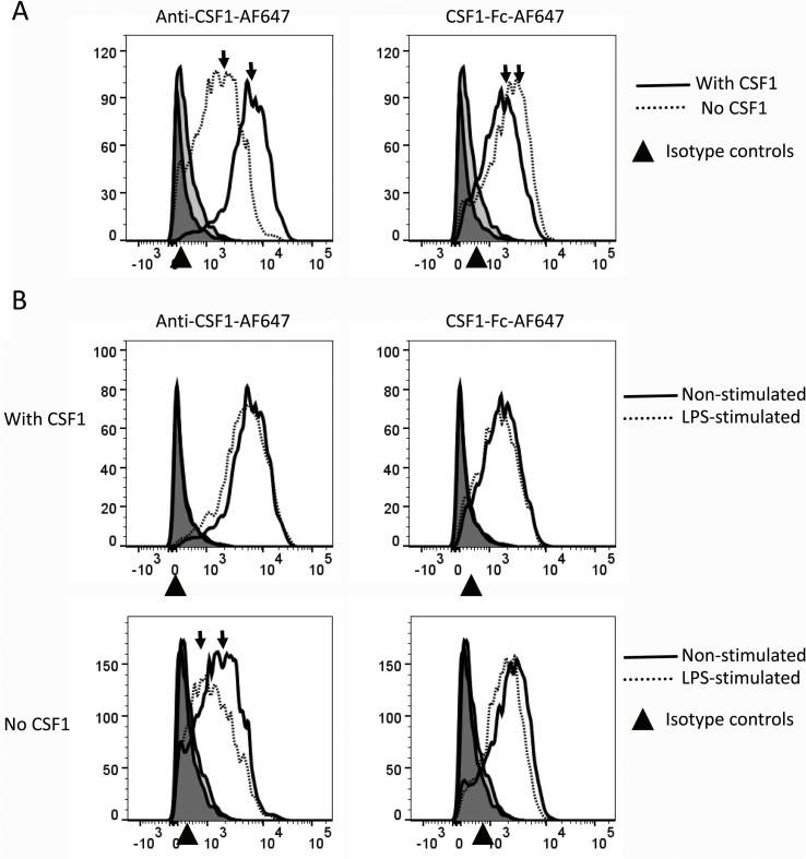 Fig. 4