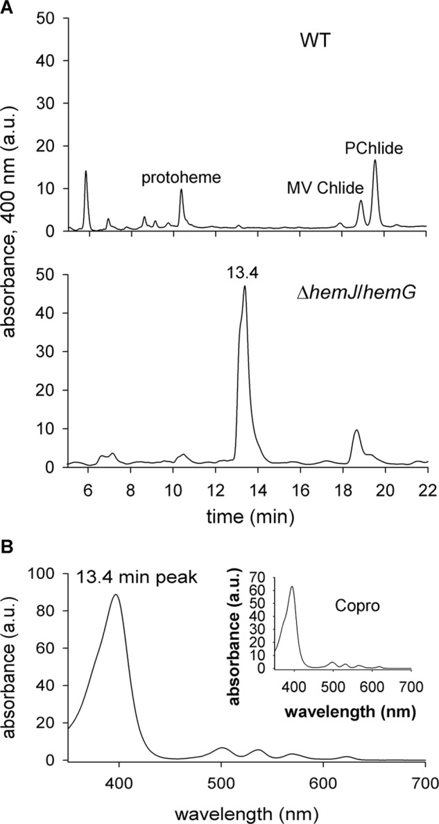 Figure 7.