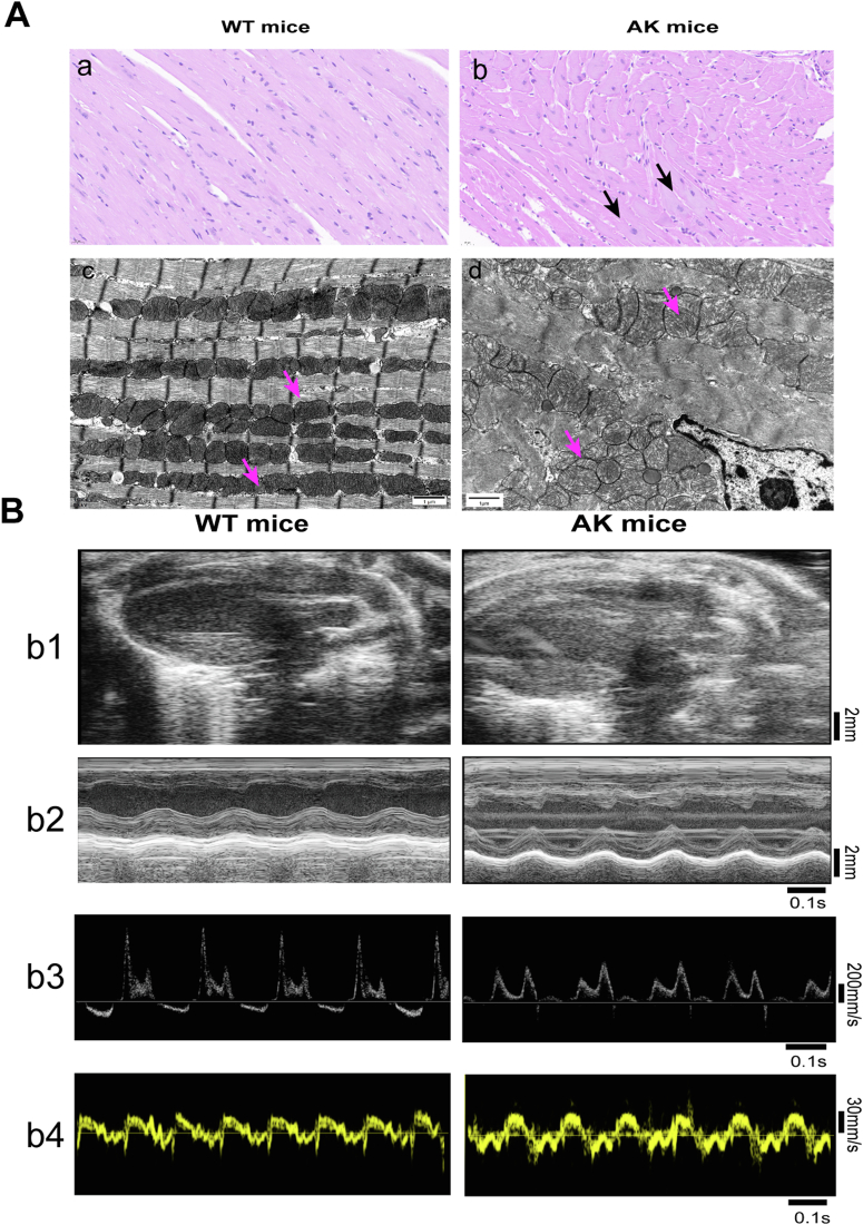 Fig. 2