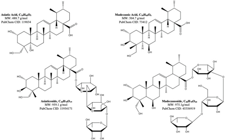 Figure 2