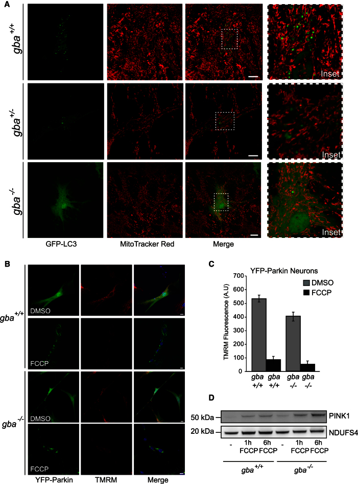 Figure 6