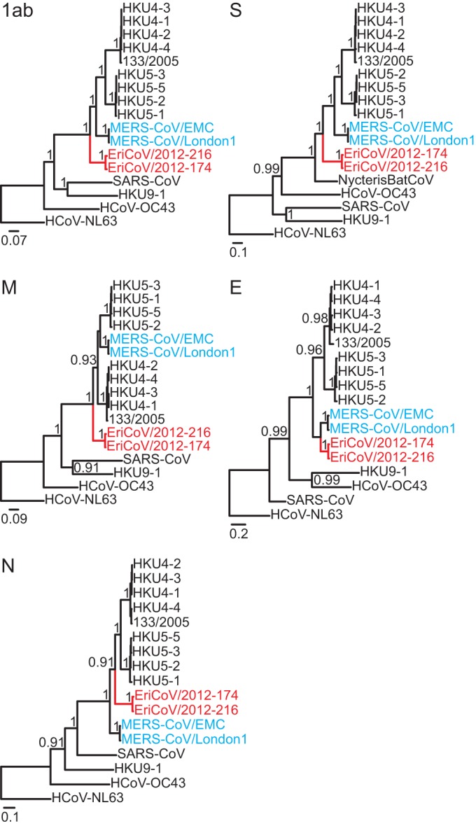 FIG 6