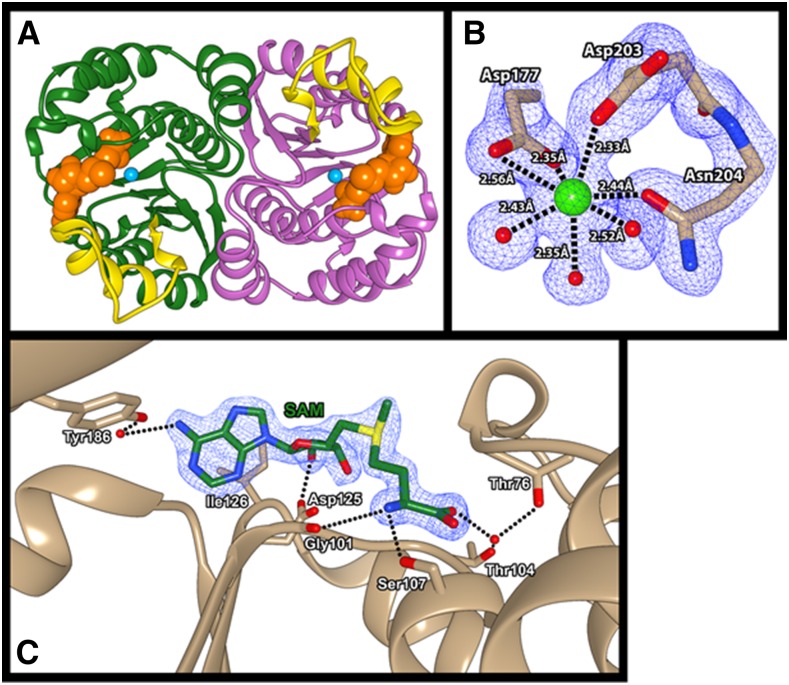 Figure 1.