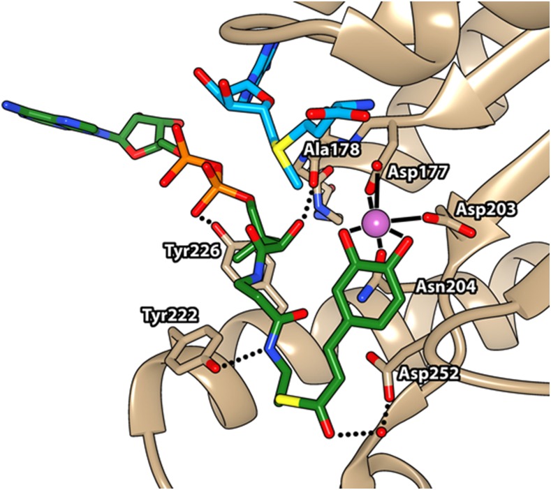 Figure 3.