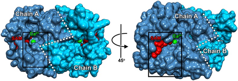 Figure 2.