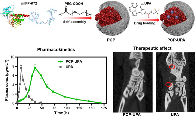 graphic file with name 12274_2023_5838_Fig1_HTML.jpg