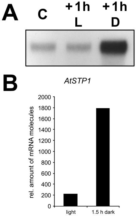 Figure 5.