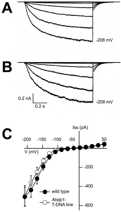 Figure 7.