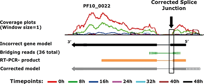 Fig. 4