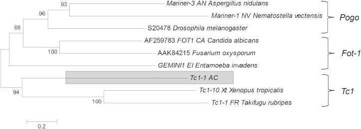 FIG. 6.—