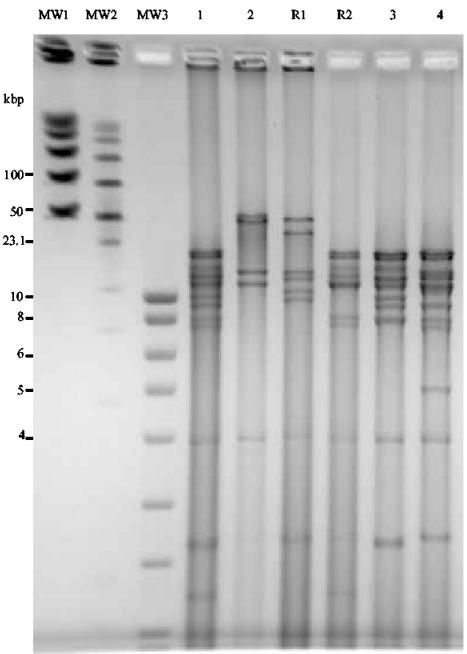 FIG. 6.