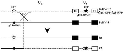 FIG. 7.