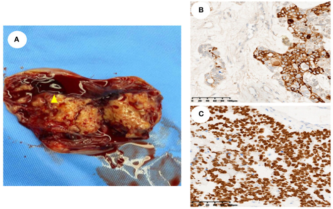 Figure 1