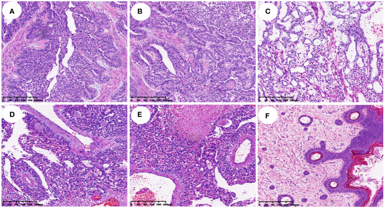 Figure 2