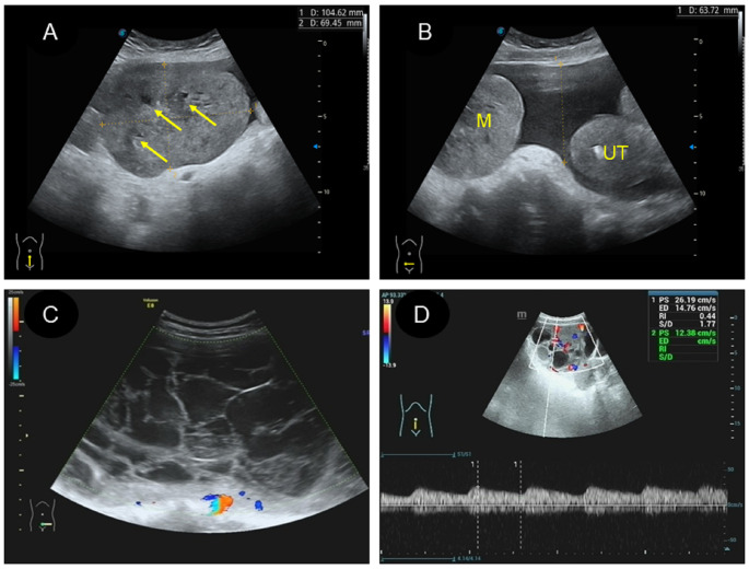 Figure 4