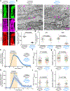 Extended Data Fig. 7.