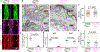 Extended Data Fig. 5.