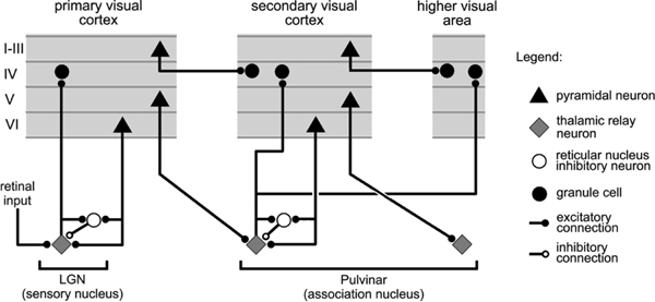 Figure 1: