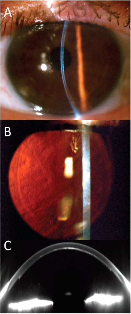 Fig. (4)