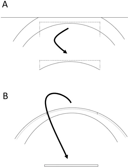 Fig. (1)