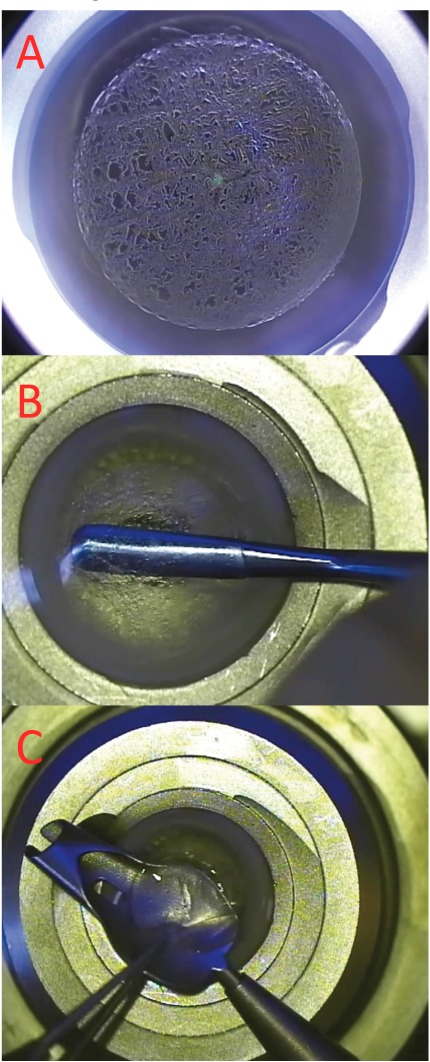 Fig. (2)