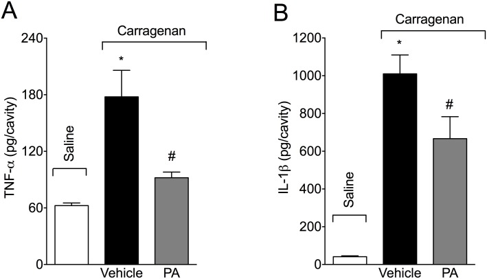 Fig 7