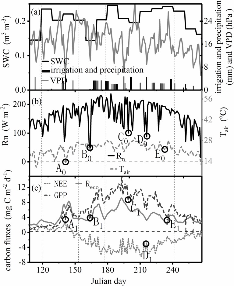 Fig 4