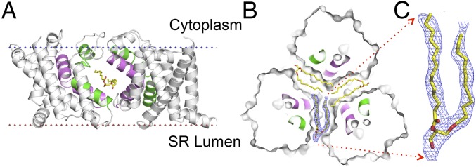 Fig. 3.