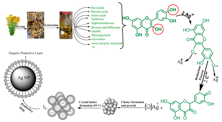 Figure 13