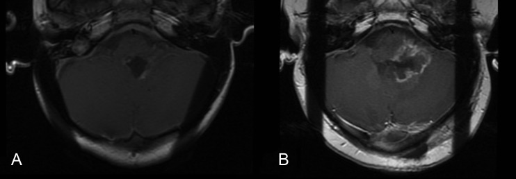 Fig. 4.