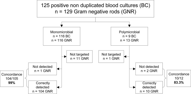 FIG 1