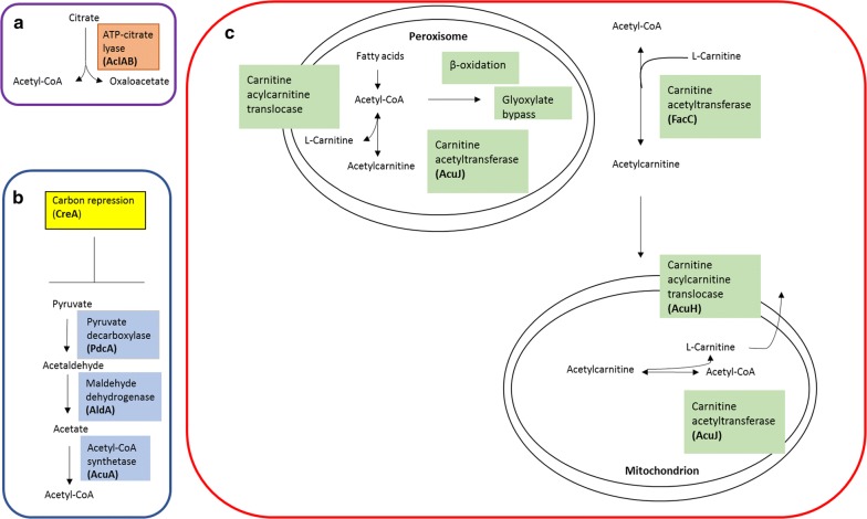 Fig. 2