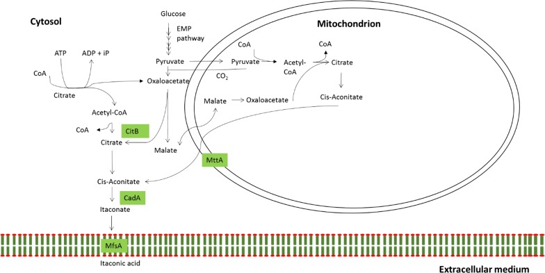 Fig. 1