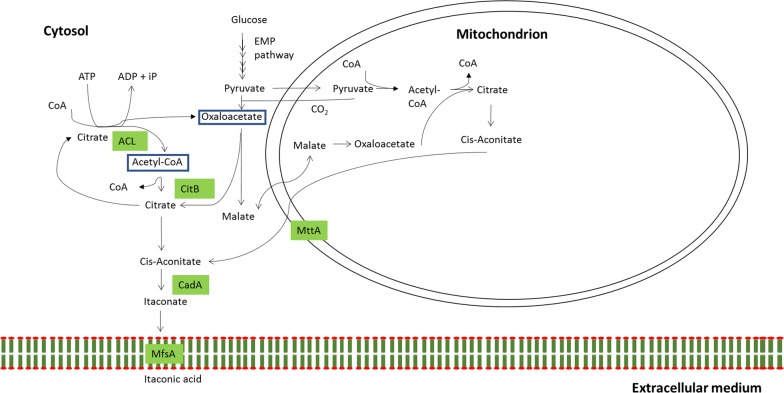 Fig. 6