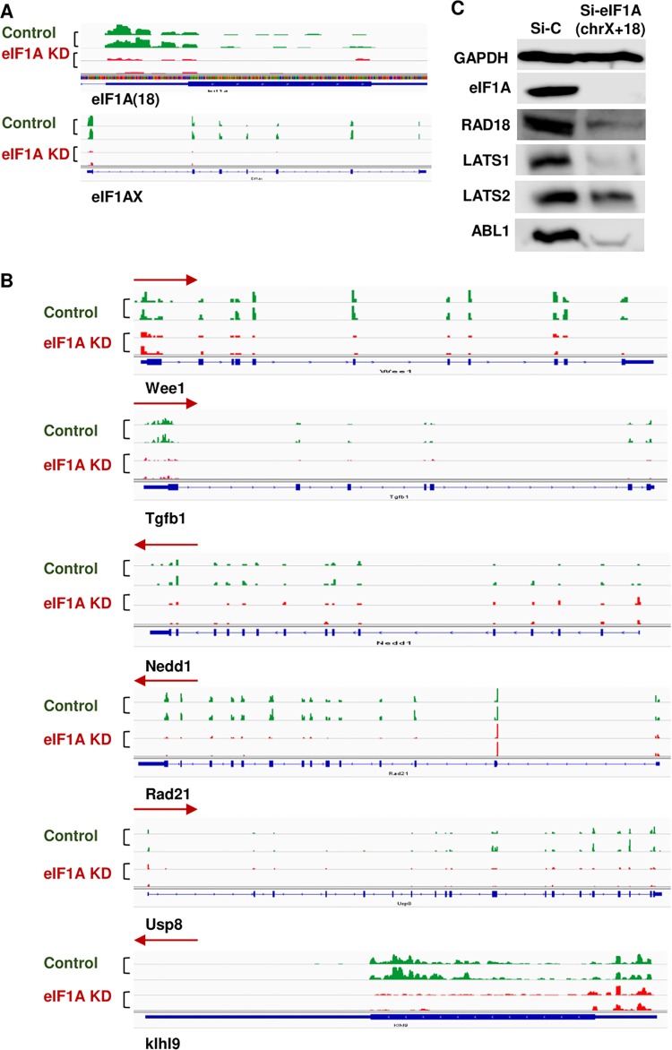 FIG 3