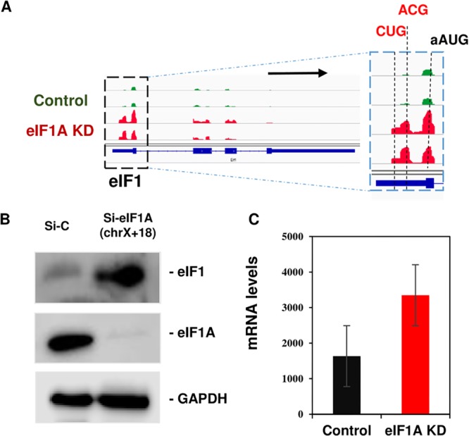 FIG 6