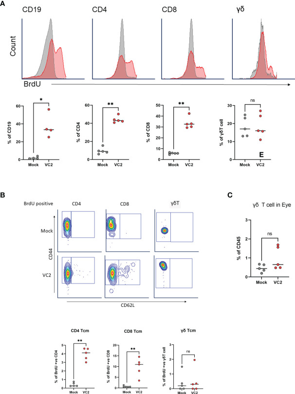 Figure 6