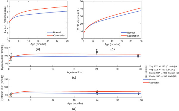 Comparison of normal and coarctation simulations for (a) left ventricular thickness at end diastole, (b) left ventricular volume at end diastole, (c) systolic, and (d) diastolic systemic pressures compared to reported control and coarctation measurements [42,43]. Error bars on data indicate ± one standard deviation. LV, left ventricle; ED, end diastole; SBP, systolic blood pressure; DBP, diastolic blood pressure.