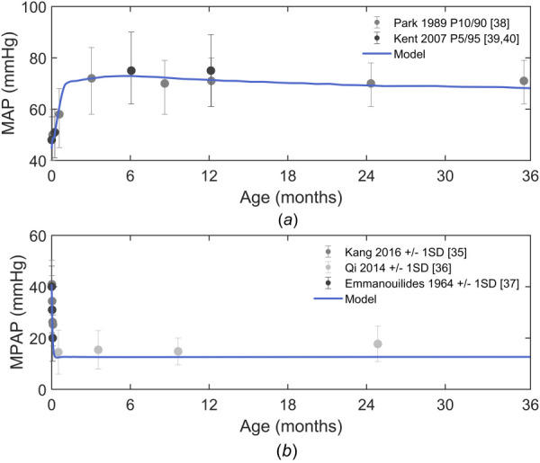 Simulated systemic (a) and pulmonary (b) mean arterial pressures throughout the first three years of life for a median weight infant compared to reported measurements [35–40]. In the studies referenced, MAP was measured using a blood pressure cuff, therefore comparable model pressures were from the upper body arteries compartment. MPAP was measured in the main pulmonary artery by Doppler echocardiography [35,36] and cardiac catheterization [37], thus model pressures shown were from the main pulmonary artery compartment. Measurements from Qi et al. were from the sea-level cohort only. Error bars on data indicate 10th and 90th percentiles [38], 5th and 95th percentiles [39,40], or one standard deviation [35–37].