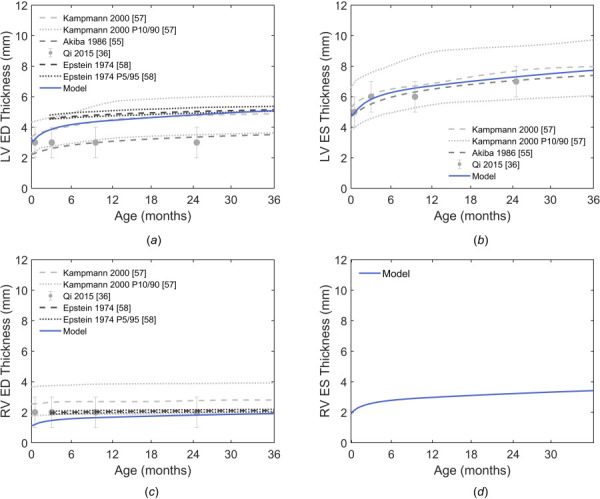Simulated left and right ventricular thicknesses at end diastole ((a) and (c), respectively) and end systole ((b) and (d), respectively) for the first three years of life for a median-weight infant. Simulated left ventricular thicknesses are compared to posterior wall measurements and simulated right ventricular end diastolic thickness is compared to anterior wall measurements [36,55,57,58]. No data were available for right ventricular thicknesses at end systole during the first three years of life. Measurements from Qi et al. were from the sea-level cohort only. Dashed lines indicate mean values for reported data. Dotted lines indicate 10th and 90th percentiles [57] or 5th and 95th percentiles [58]. Error bars on data indicate ±one standard deviation [36].
