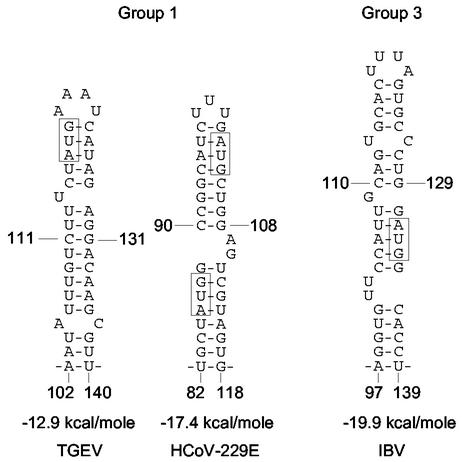 FIG. 6.