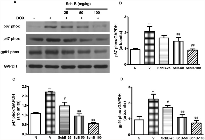 Fig 8