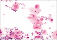 Figure 10: